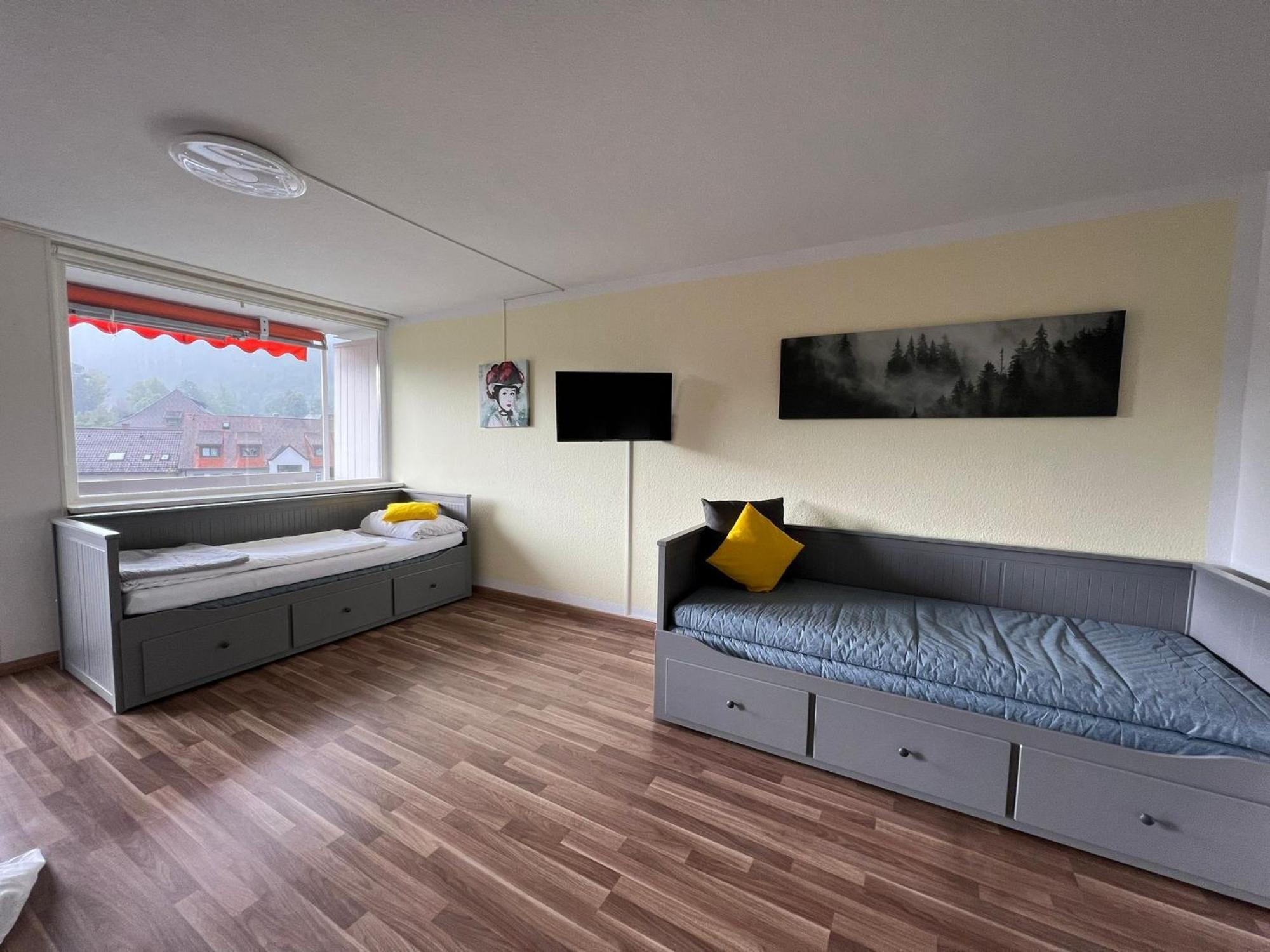 Domview Apartment St. Blasien Exterior foto